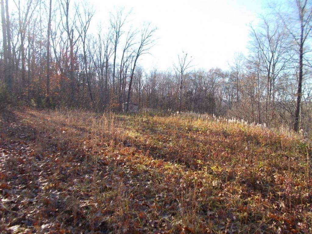 414 Doane Rd, New Market, TN 37820